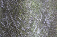 Eadar Dha Fhadhail fibreglass roof work